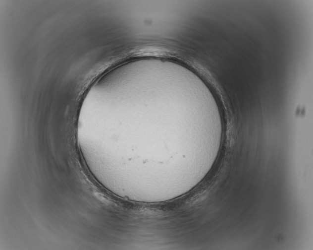 X0000115020529200911091444