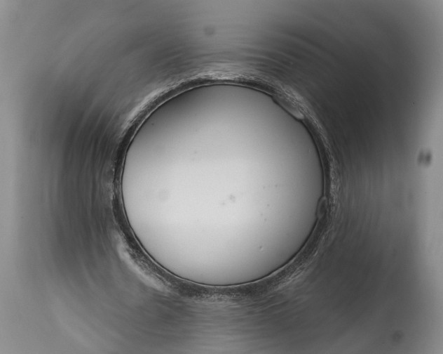X0000115020530200911091444