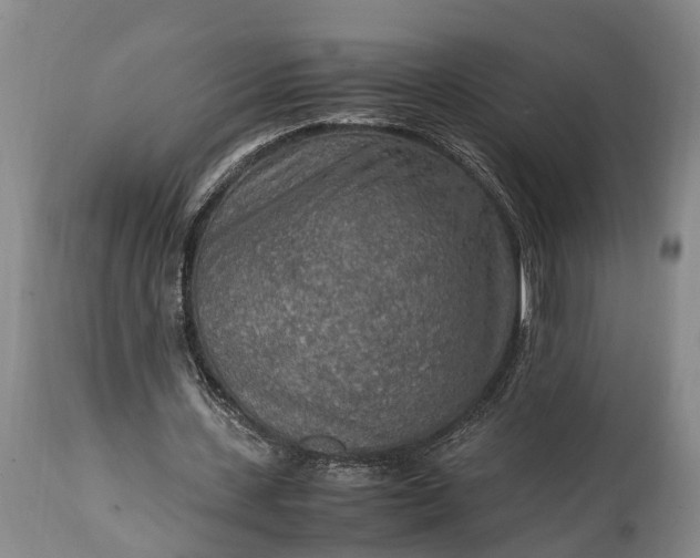X0000115020531200911091444