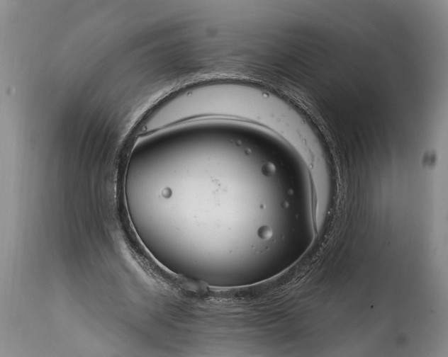 X0000115020534200911091444