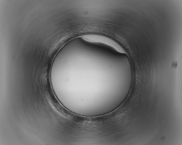 X0000115020538200911091444