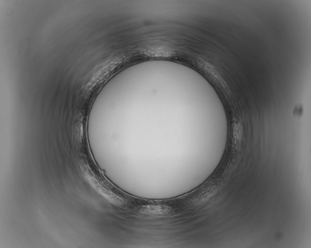 X0000115020541200911091445