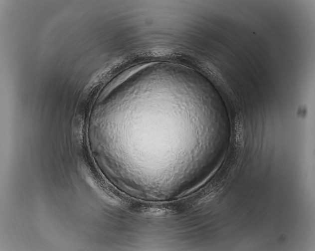 X0000115020542200911091445