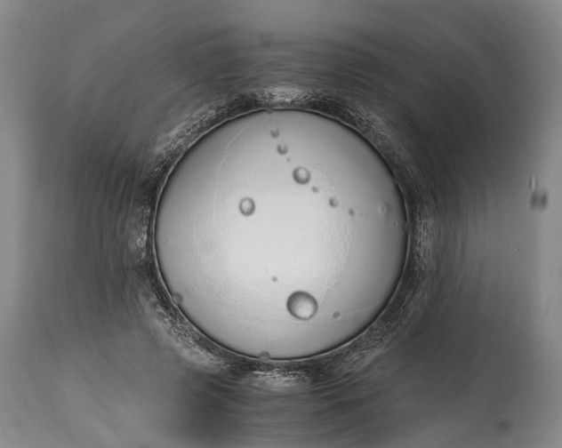 X0000115020545200911091445