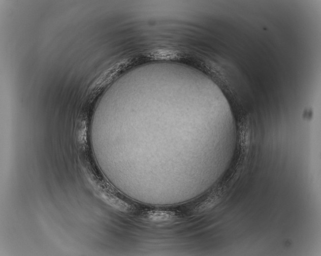 X0000115020549200911091445