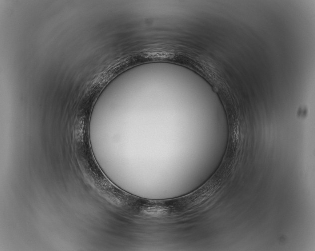 X0000115020551200911091445