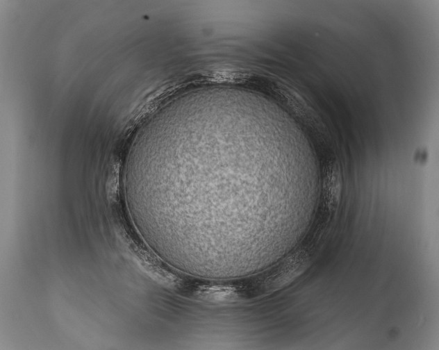 X0000115020554200911091445