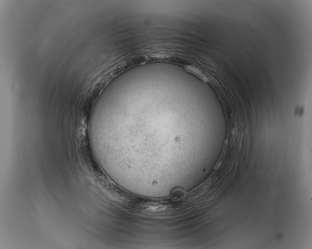 X0000115020555200911091445