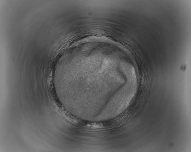 X0000115020559200911091445