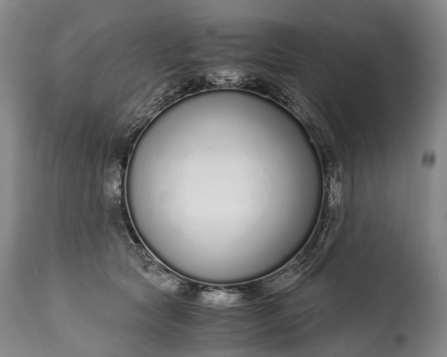 X0000115020561200911091445