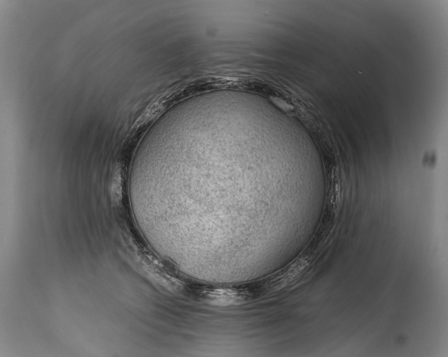 X0000115020562200911091445