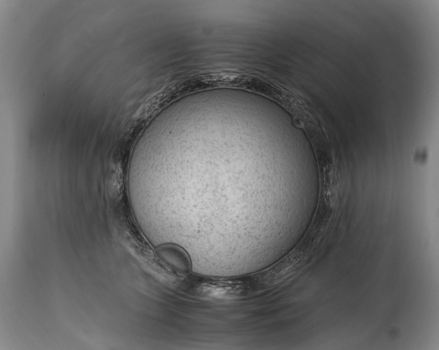 X0000115020563200911091445