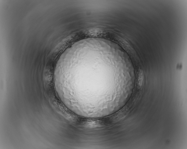 X0000115020569200911091445