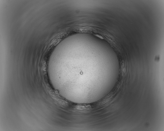 X0000115020571200911091445