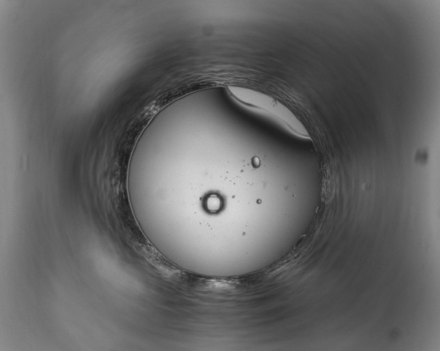 X0000115020573200911091445