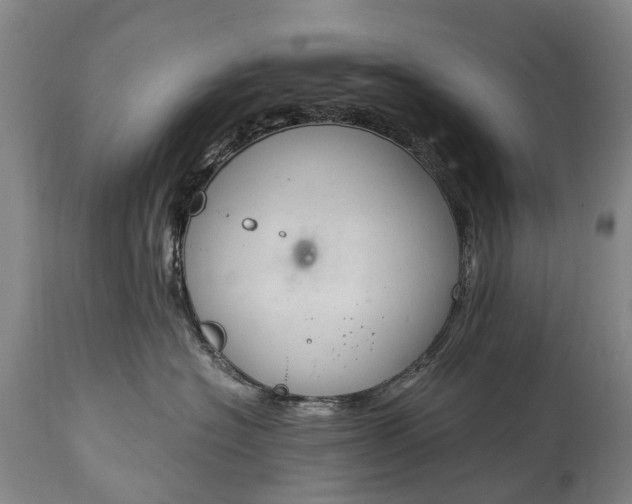 X0000115020574200911091445