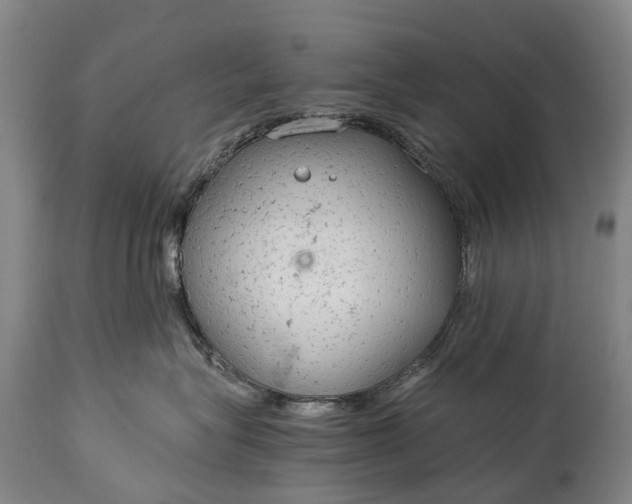 X0000115020575200911091445