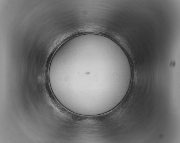 X0000115020578200911091444