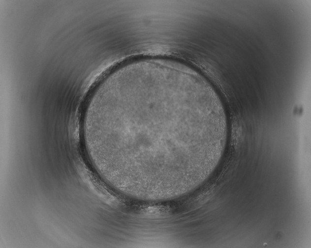 X0000115020584200911091444