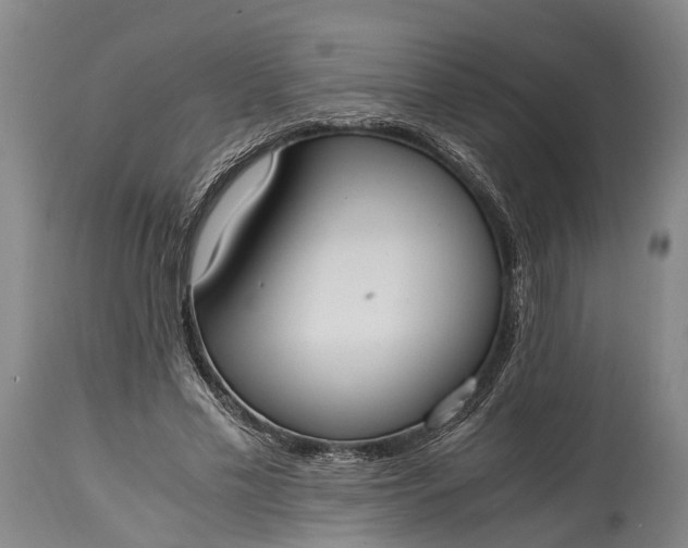 X0000115020589200911091444