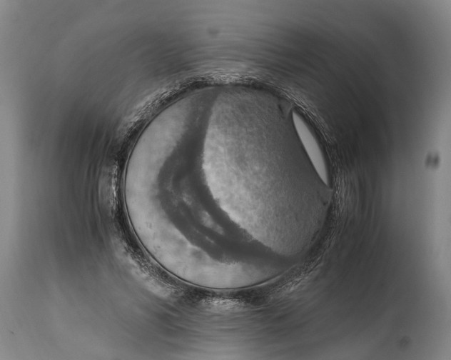 X0000115020590200911091444