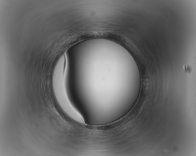 X0000115020593200911091444