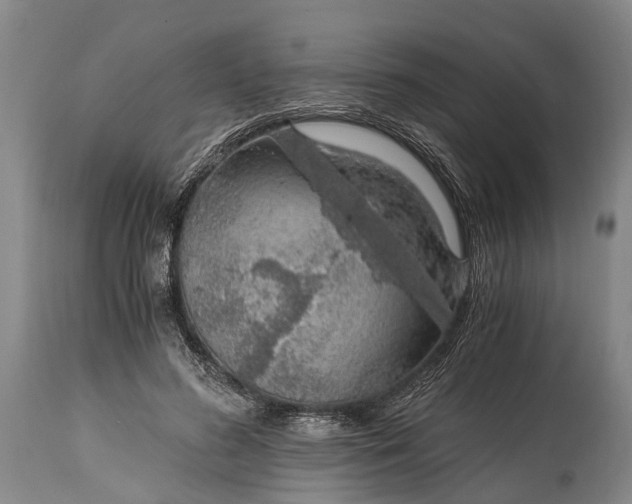 X0000115020596200911091444