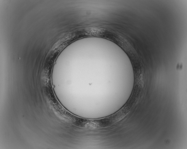 X0000115020599200911091444