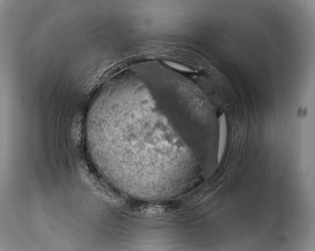 X0000115020600200911091444