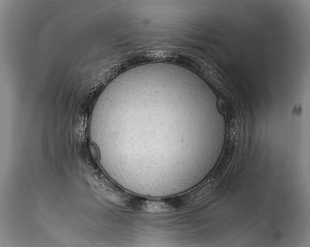 X0000115020605200911091444