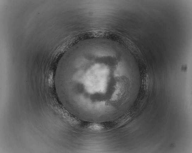 X0000115020610200911091444