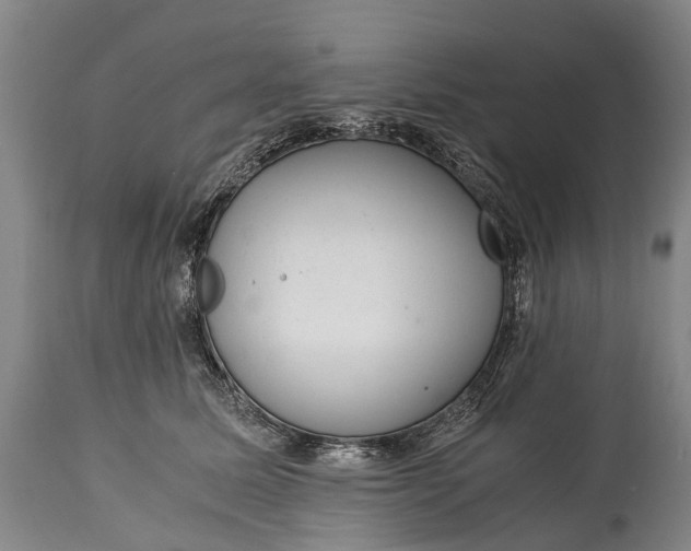 X0000115020611200911091444