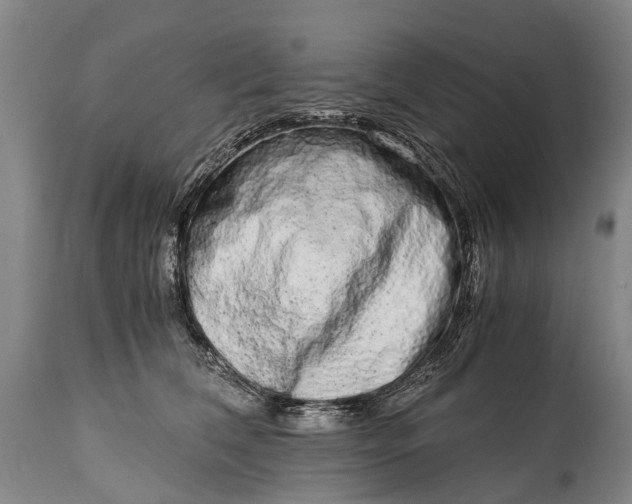 X0000115020612200911091444
