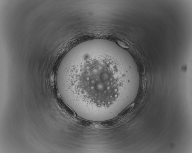 X0000115020613200911091444