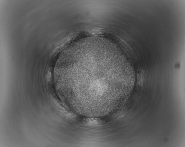 X0000115020618200911091444