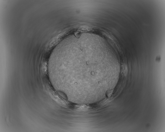 X0000115020621200911091444