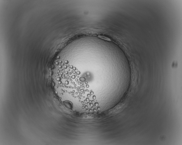 X0000115020624200911091444