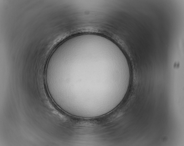 X0000115020625200911091443