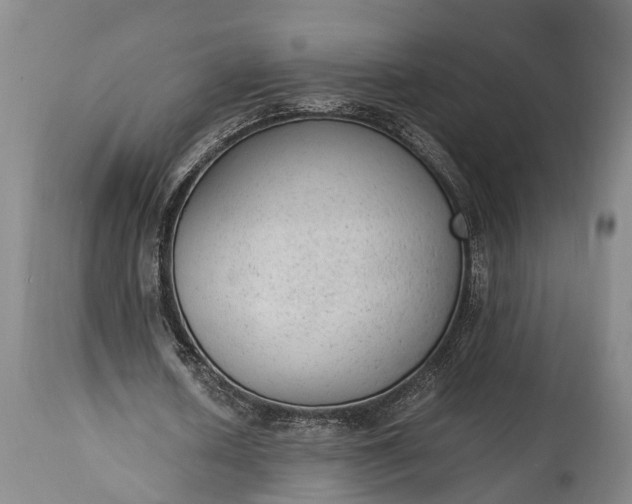 X0000115020626200911091443