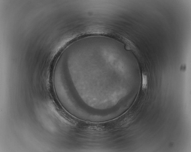X0000115020627200911091443
