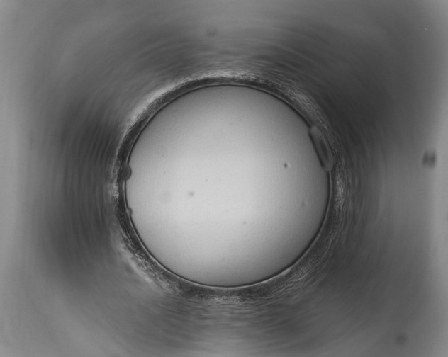 X0000115020628200911091443