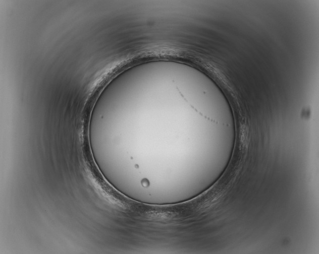 X0000115020629200911091443
