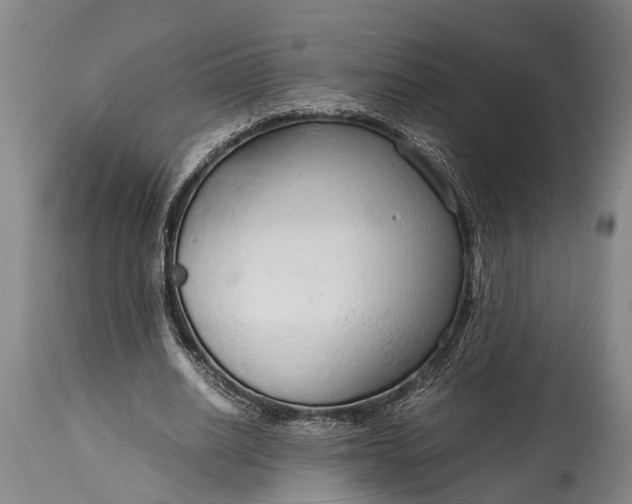 X0000115020630200911091443
