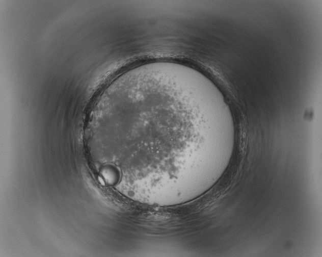 X0000115020631200911091443