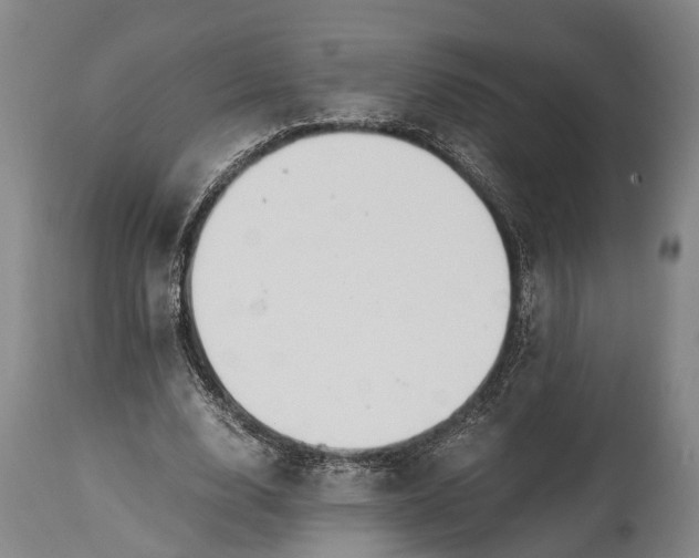 X0000115020632200911091443