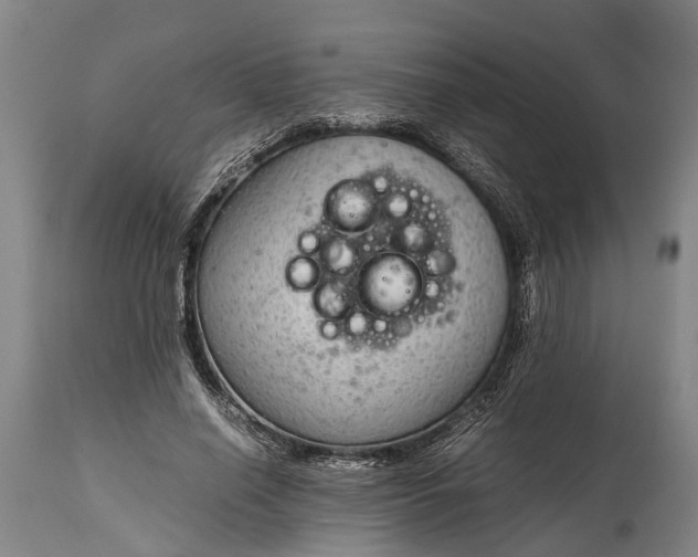 X0000115020638200911091443