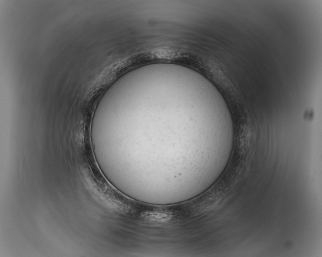 X0000115020639200911091443