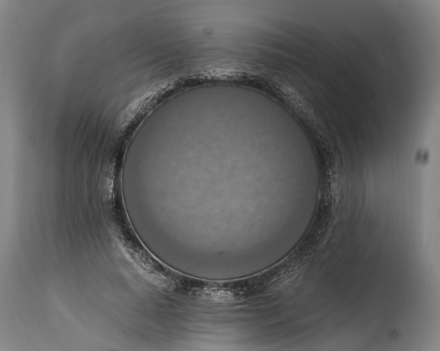 X0000115020640200911091443