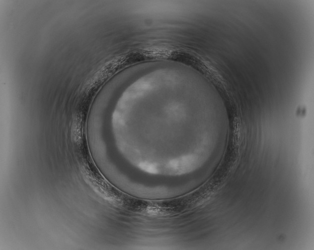 X0000115020641200911091443