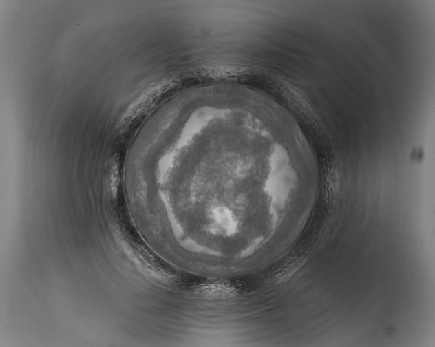 X0000115020644200911091443